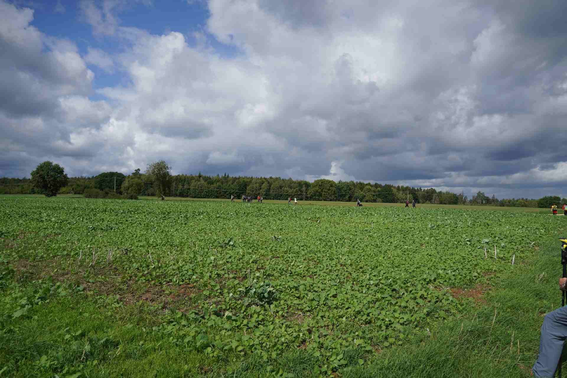 3 Tages Wanderung  in der fränkischen Schweiz